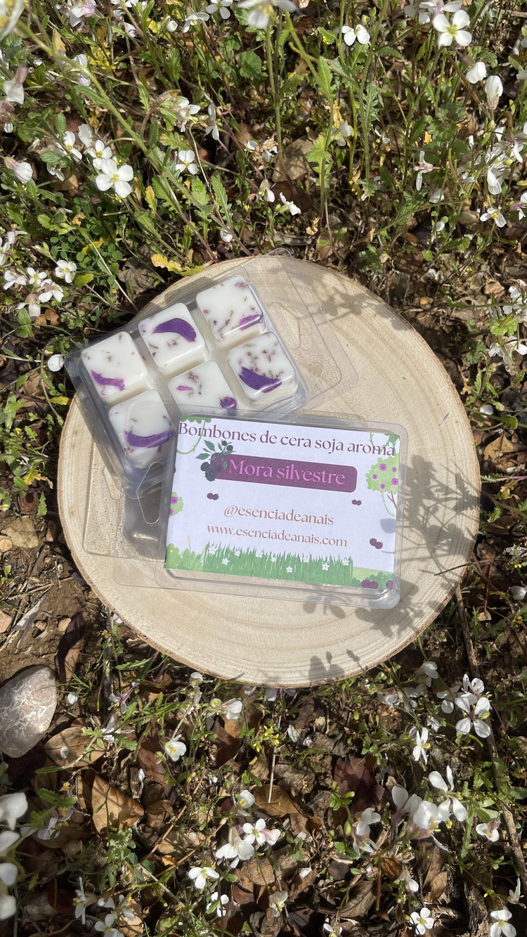 Imagen de Bombones de cera aroma mora silvestre.